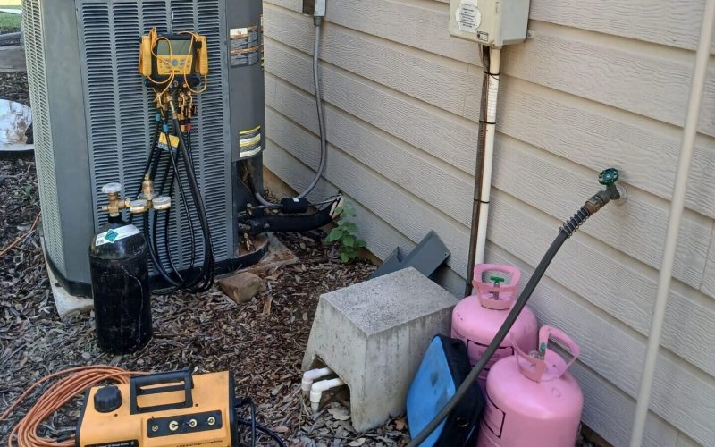 Ellibee-Prevention-&-Advantage-Plans